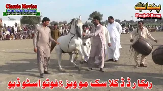 Horse Dance ( Name Charhda Suraj )Jashne Bodla Bahar Day 2nd 2017 Abadi Shahbaz Nagar Pakpattan 216