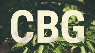 Das Muttercannabinoid CBG