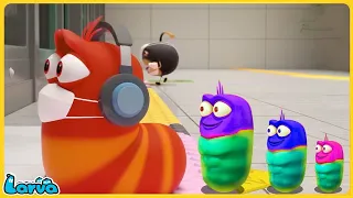 LARVA FULL EPISODE 05 | CARTOON MOVIES FOR LIFE | THE BEST OF FUNNY CARTOON | COMEDY VIDEO 2024