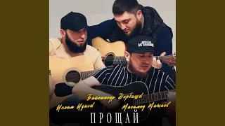 Прощай