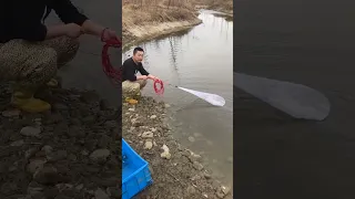 Wow magnet fishing nets around the river, got a lot of fish