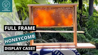INCREDIBLE Honeycomb Display Case