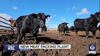 ‘We are going to feed American beef to the Americans’: Meat packing plant to open in Richfield