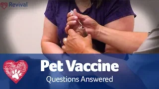 Pet Vaccine FAQs: Pet Care Pro Show