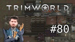 (T)RimWorld #80 mit Matteo