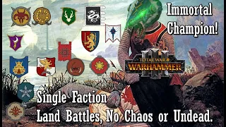 The Immortal Champion! Single Faction Tourney. Warhammer 3 Land Battles