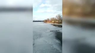 Спасение утопающей собаки в Вышнем Волочке