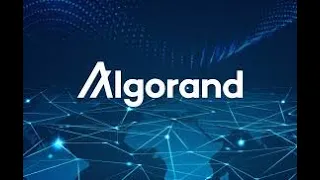 Is $ALGO the next $HBAR? #algorand #algorandcrypto #algorandnews #algo #crypto #altcoins #bitcoin