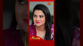 Sevanthi | #shorts | Udaya TV | Kannada Serial