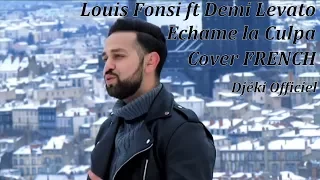 Luis Fonsi, Demi Lovato - ECHAME LA CULPA  (FRENCH VERSION) Djéki Officiel