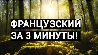 💕💕💕Французский язык за 3 минуты!