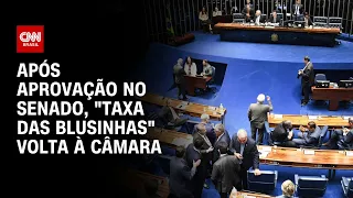 Após aprovação no Senado, "taxa das blusinhas" volta à Câmara | CNN NOVO DIA