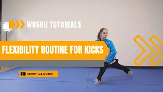 Wushu Tutorial: Flexibility Routine to Improve Your Kicks
