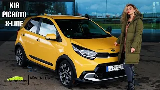 KIA Picanto X-Line FACELIFT 2021 I Honigbiene oder Mini-Tiger? Test I Review I POV