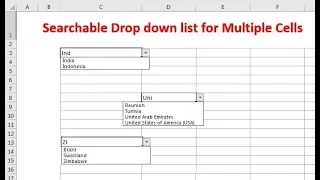 Searchable drop-down list for multiple cells