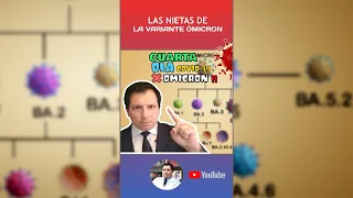 ALERTA ⚠️ EL MUNDO ENFRENTARÁ UNA "CUARTA OLA ÓMICRON" - EXPERTOS HABLAN DE LAS NIETAS DE ÓMICRON