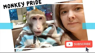 Разговор по душам с обезьяной/ яванская макака Федя (домашние обезьяны)