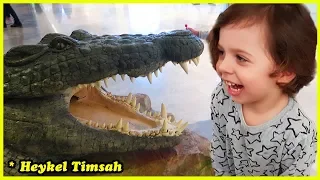 Dev Timsahların Olduğu Akvaryuma Gittik | Kids Aquarium Videos and Huge Crocodiles