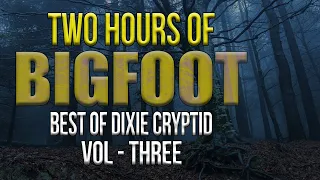 TWO HOURS of Bigfoot Encounters_Best of Vol 3