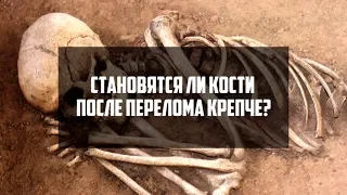 Становятся ли кости после перелома крепче? | DeeaFilm