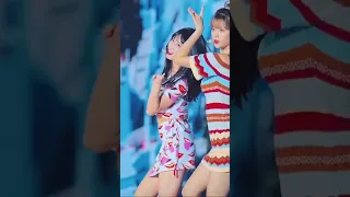 momo fancam