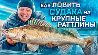 Как ловить судака на крупные вибы и раттлины ? Судак сходит с ума!