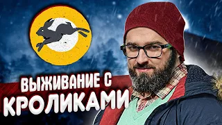 ЛЕГЕНДАРНОЕ ВЫЖИВАНИЕ С КРОЛИКАМИ - The Long Dark #1