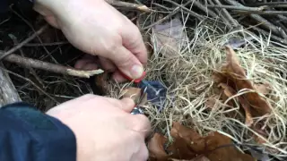 Basic Fire Starting