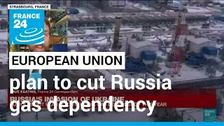 EU rolls out plan to cut Russia gas dependency this year • FRANCE 24 English