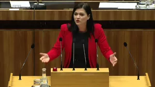 73. Nationalratssitzung - Daniela Holzinger (SPÖ)