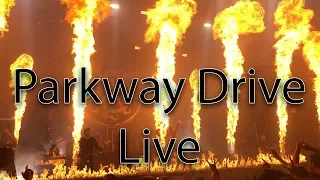 Parkway Drive Live in Zürich | Reverence Tour 12.02.2019 | Intro, Crushed, Writings on the Wall