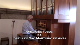 Órgão de tubos da Igreja de São Martinho de Anta