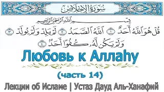 Любовь к Аллаhу (часть 14) | Устаз Дауд Аль-Ханафий