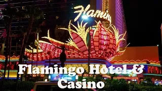 Flamingo Hotel & Casino Las Vegas Tour..Wild habitat,Casino
