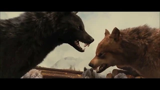 Twilight Wolves- She Wolf