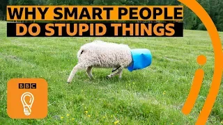 Why smart people make stupid mistakes | BBC Ideas