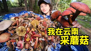 Mushroom picking in Yunnan. 6 hours of walking to find the king of red mushrooms!  cooking soup!