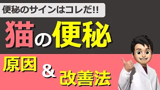 【猫の便秘】便秘のサインはこれだ！原因と治し方