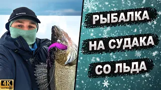 РЫБАЛКА НА СУДАКА СО ЛЬДА