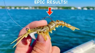 Saltwater Fishing with Epic Results [Check this out]