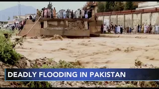 More than 1100 killed by Pakistan monsoon rains and floods