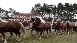 Titanen der Rennbahn 2011-Super Quadrille mit 100 Kaltblut - Pferden! 10x10 !