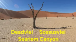 Exploring Sossusvlei, Deadvlei, Dune 45, Sesriem Canyon- The Heart of The Namib Ep 5