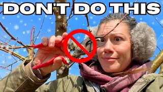 You're (Probably) Killing Your Fruit Trees | Winter Pruning