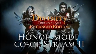 Divinty Original Sin EE Honor Mode Co op Part 2 Fextralife