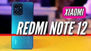 ДОЖДАЛИСЬ 🔻 REDMI NOTE 12 GLOBAL 🔻 ОБЗОР и ПЕРВЫЕ ВПЕЧАТЛЕНИЯ