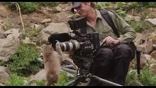 Behind-The-Scenes of Snow Monkeys on Nature on PBS