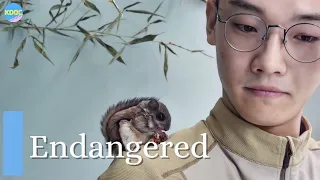 How South Korean doctors are protecting endangered animals | K-DOC