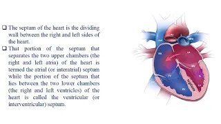 Part 11 Cardiac Resynchronization Therapy (CRT)