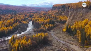 Наша Сибирь 4К:  Долина реки Кубадру